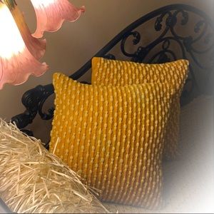 Two Down Filled Pillows